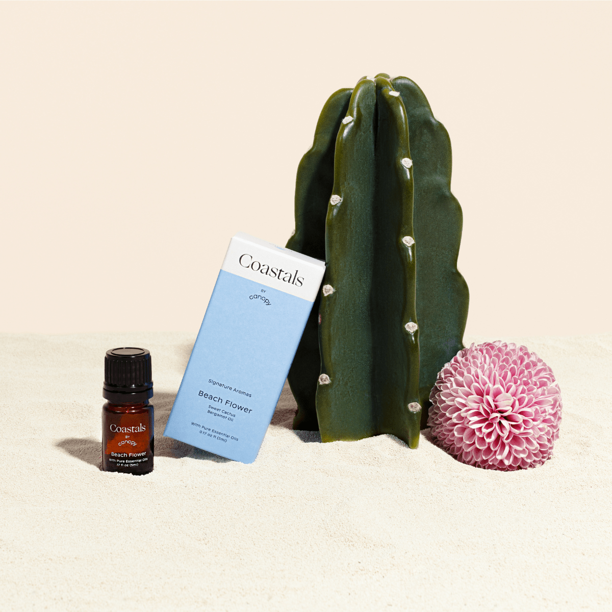 Coastals product with a cactus and pink flower on a beige background