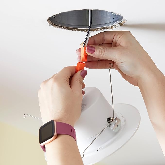 BioLight™ Full Spectrum Retro Fit Recessed Light - for 6" Cans