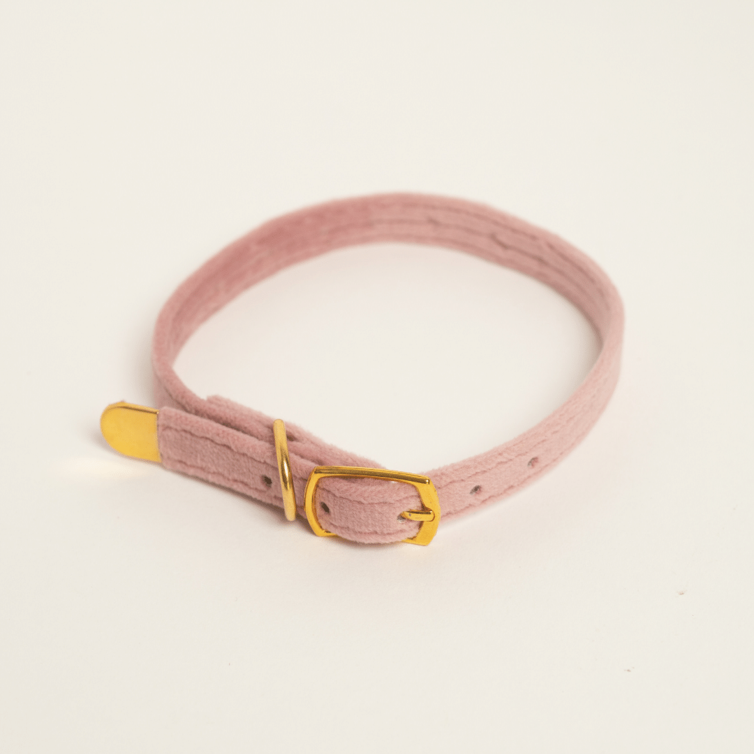 H.E.A.L.® Velour Collar for Cats