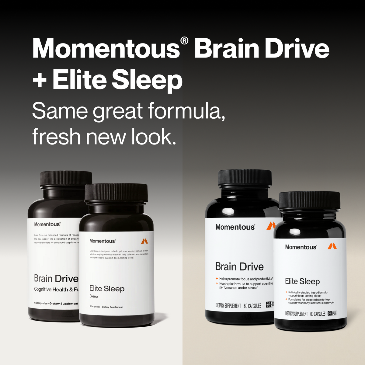 Brain Drive + Elite Sleep Stack