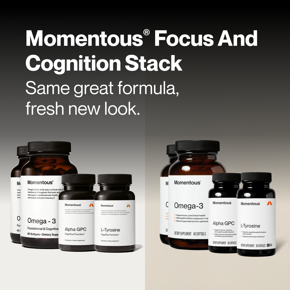 Focus & Cognition Stack