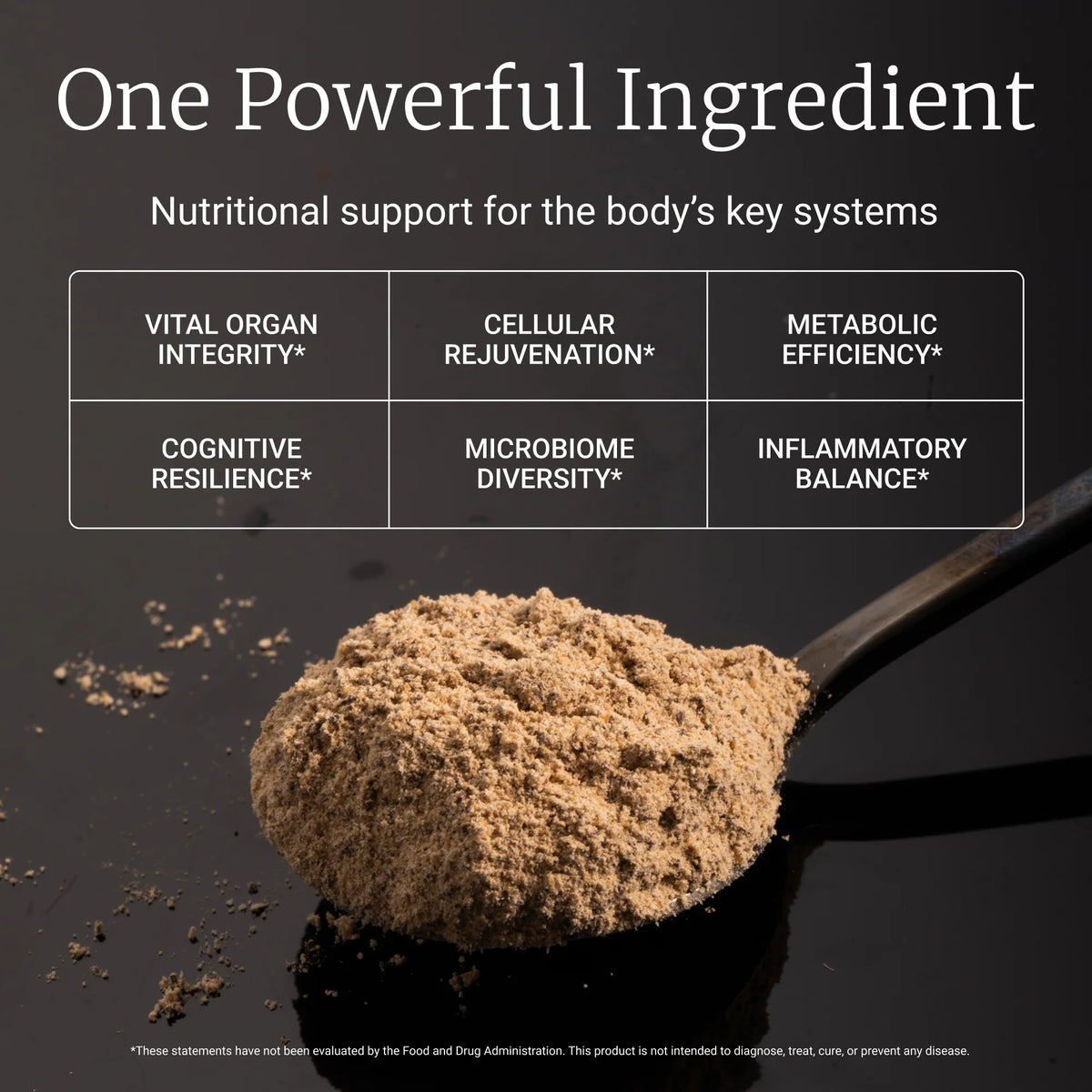 Himalayan Tartary Buckwheat Sprout Powder (as HTB Activ™)