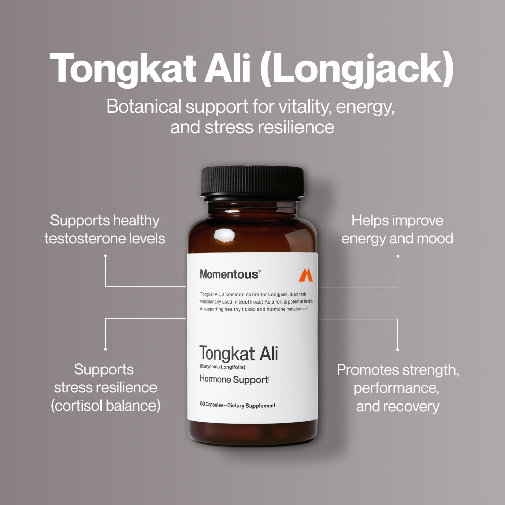 Tongkat Ali
