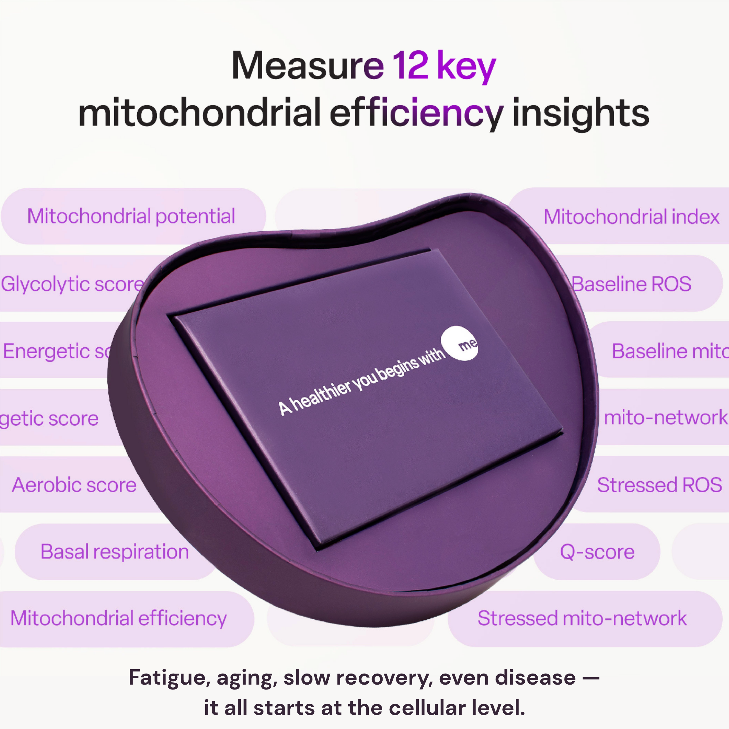 mescreen™ Mitochondrial Function Test + Healthcare Provider Consult