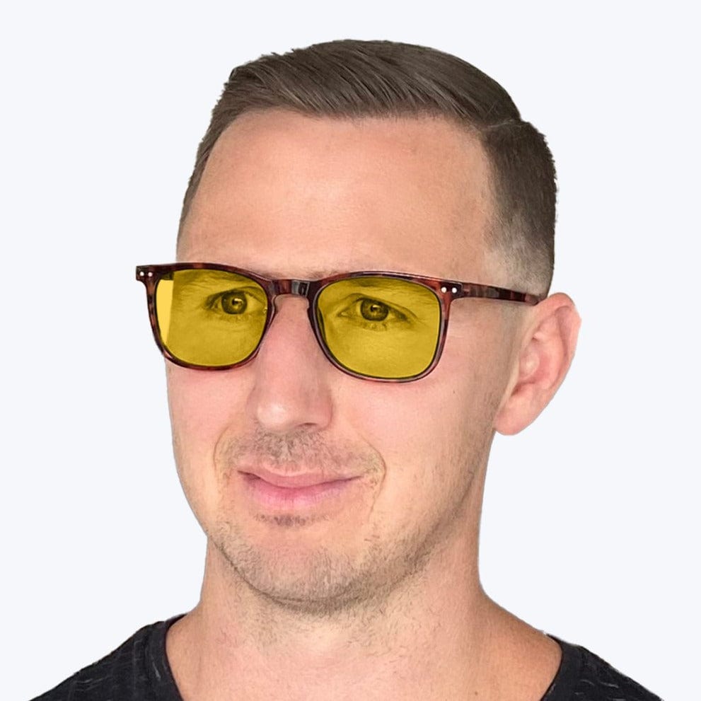DayMax Taylor Glasses - Tortoise