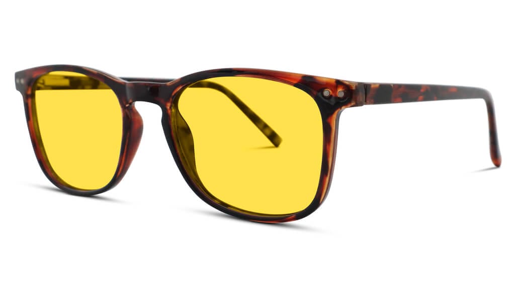 DayMax Taylor Glasses - Tortoise
