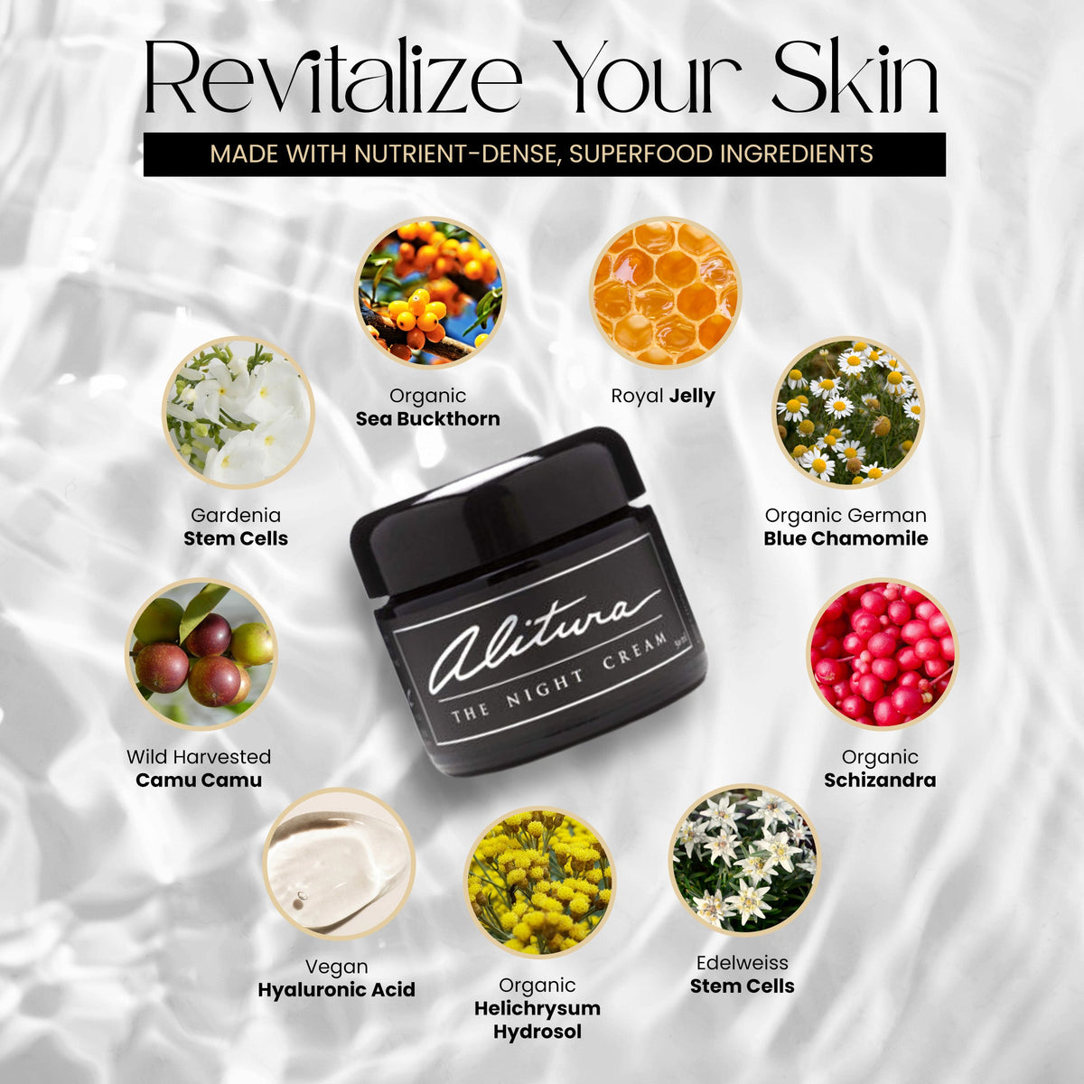 The Night Cream