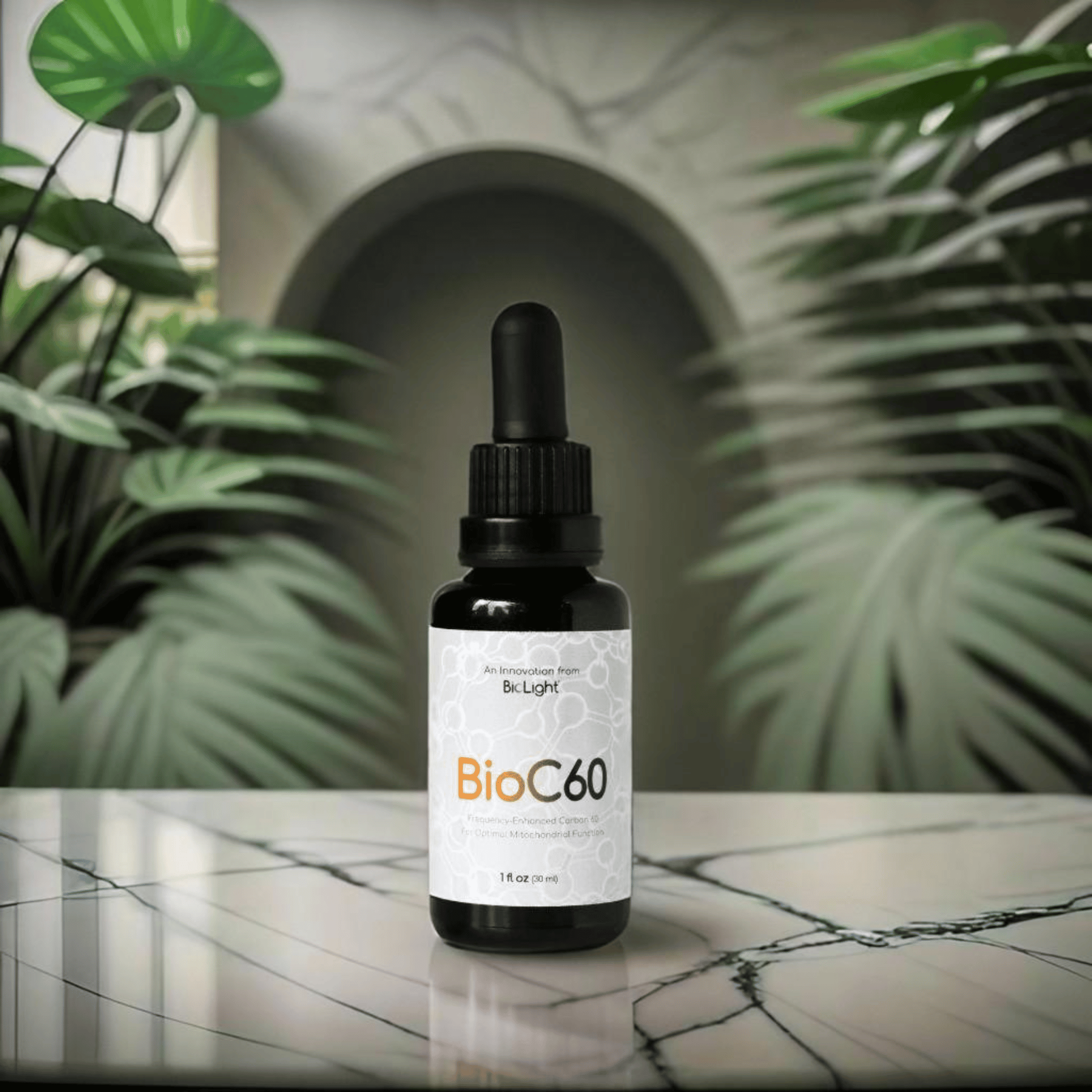 BioC60: Antioxidant for Longevity & Energy
