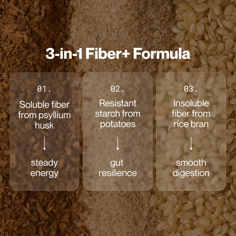 Fiber+ 10-Travel Packs