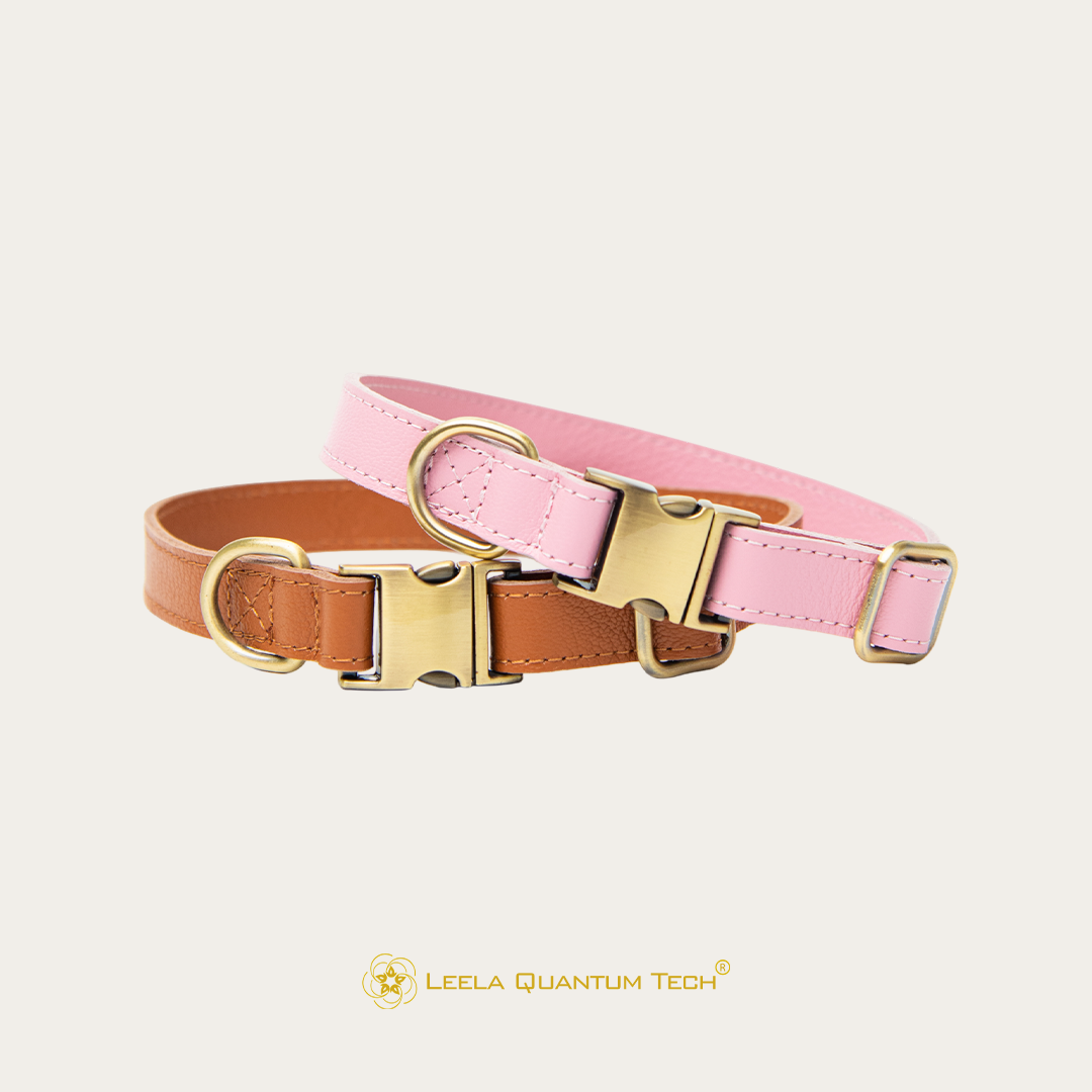 H.E.A.L.® Leather Collar for Dogs