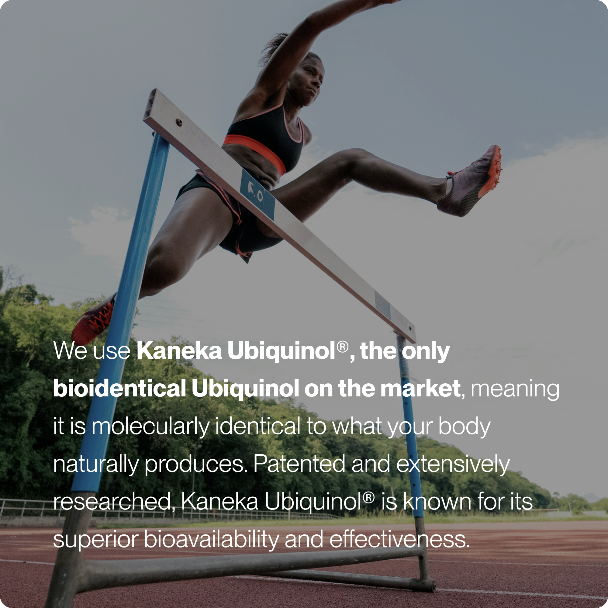 Ubiquinol