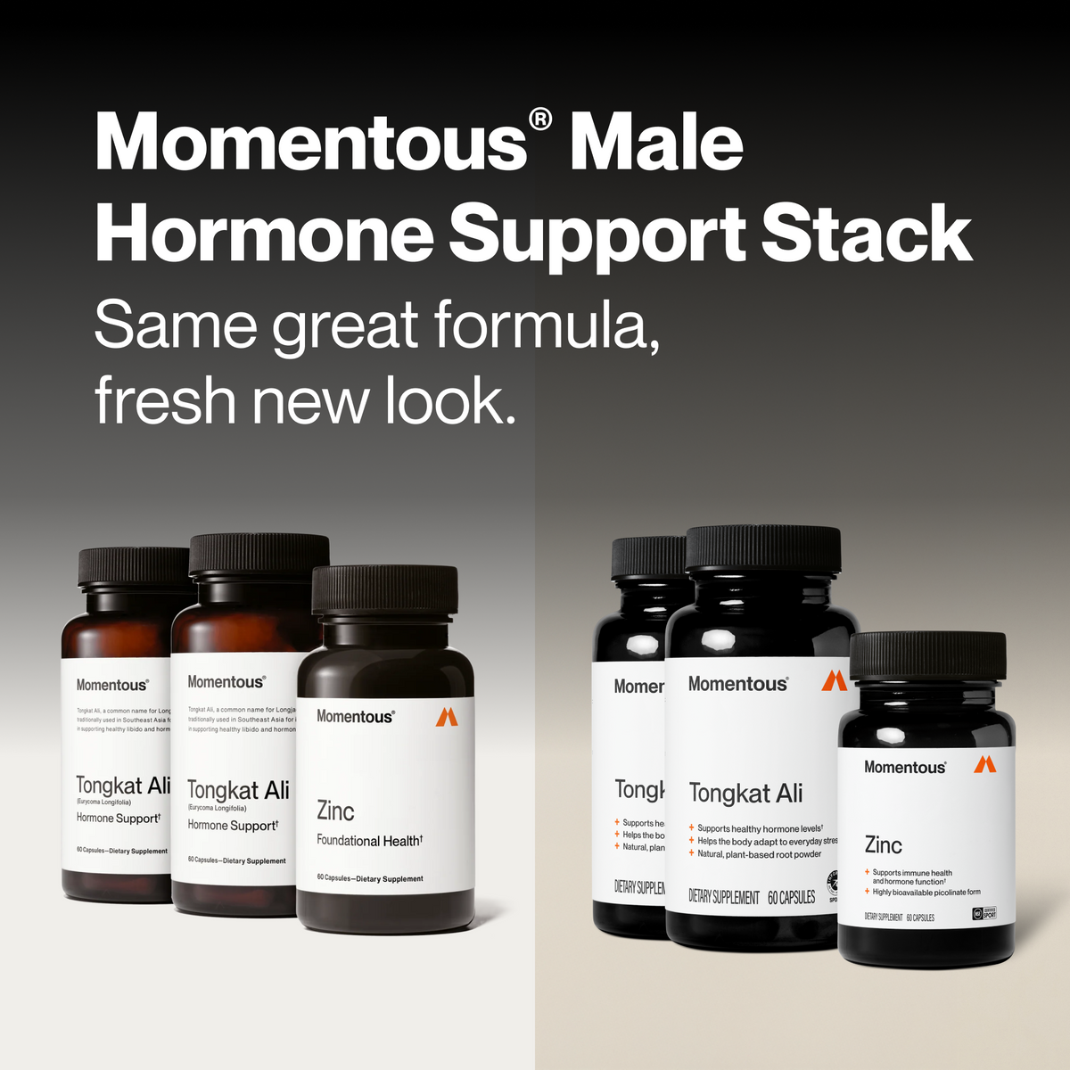 Male Hormone Support Stack