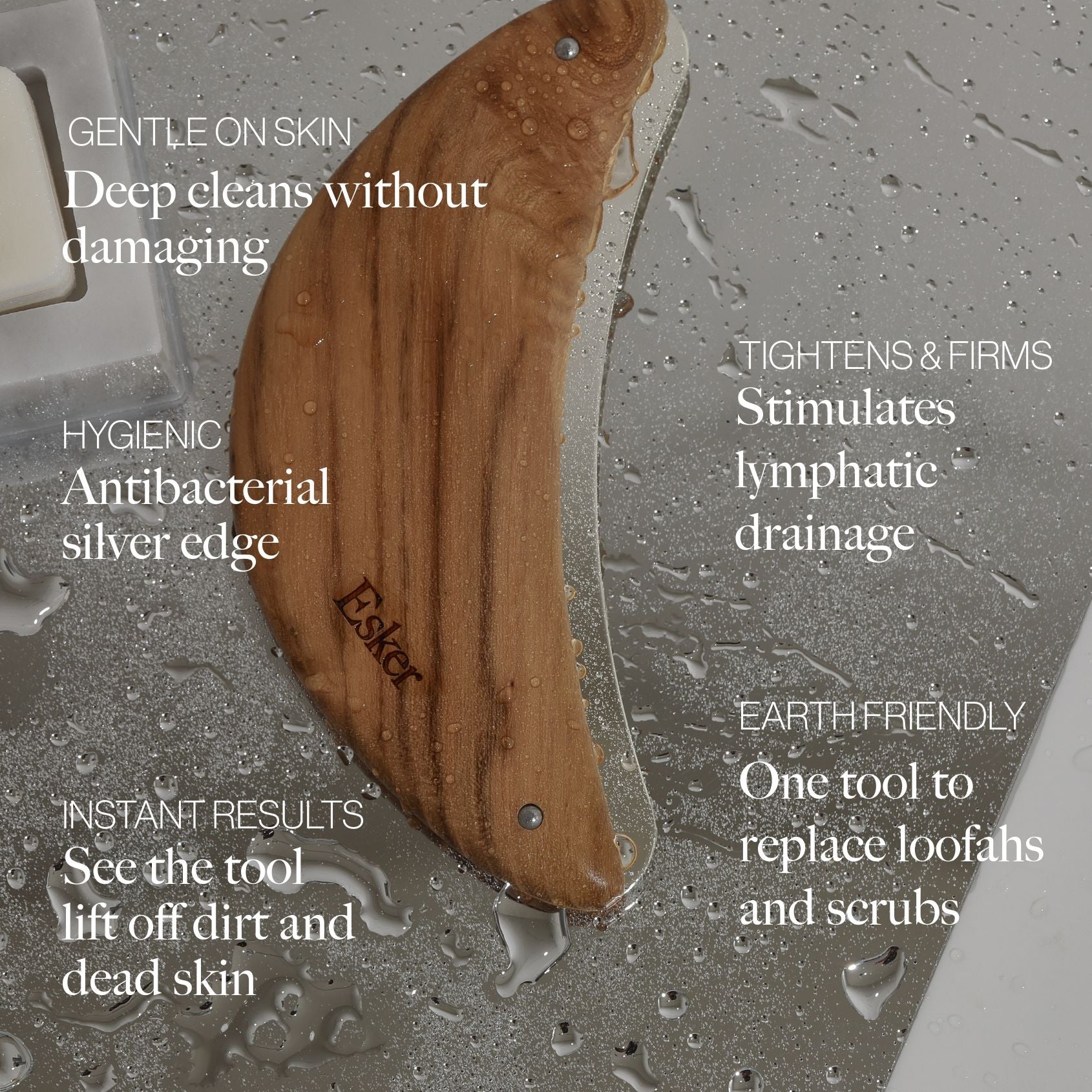 Body Plane