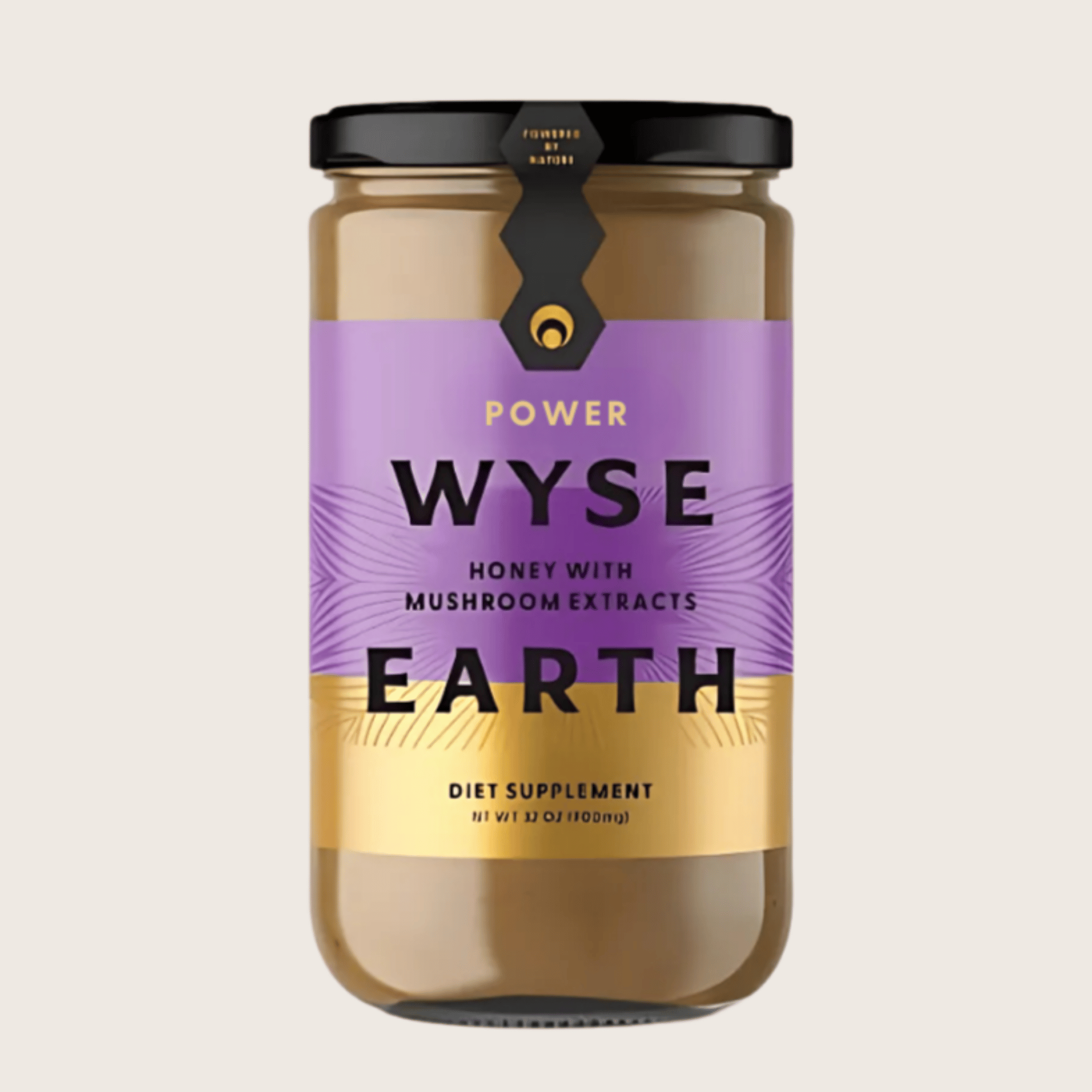Wyse Earth Power
