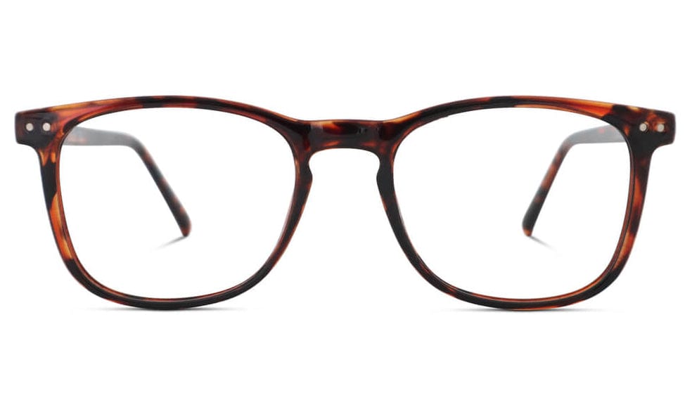 ScreenTime Taylor Computer Glasses - Tortoise