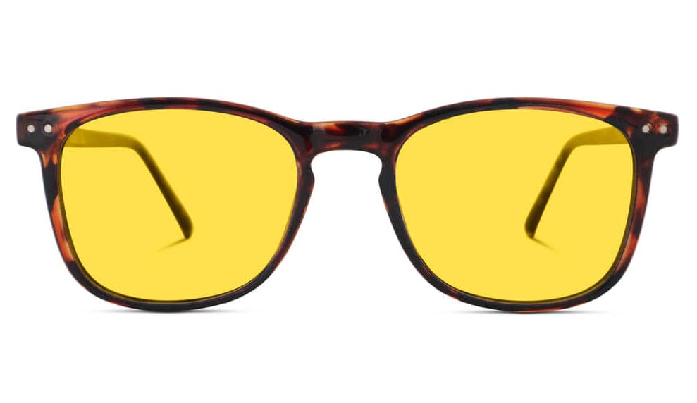 DayMax Taylor Glasses - Tortoise